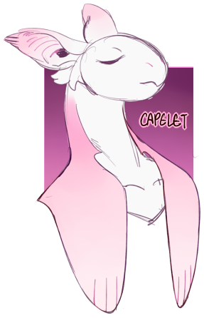 r_ruff_capelet.png