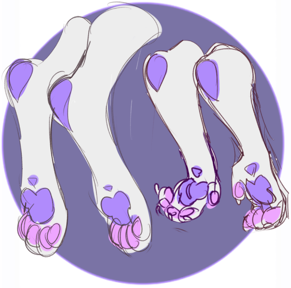 Tipped Paws